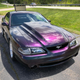 Illustration for article titled Fresh Mystic Paint Job on a 1996 Cobra
